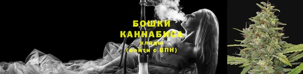 spice Богородск
