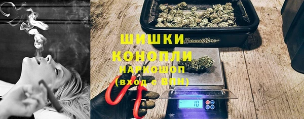spice Богородск