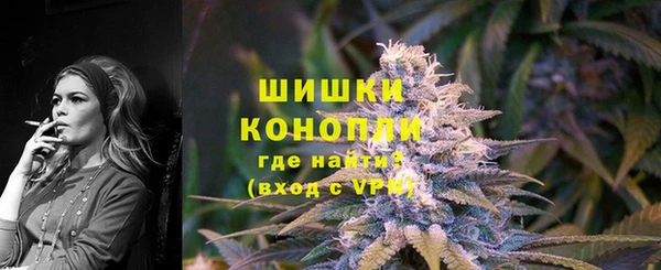 spice Богородск