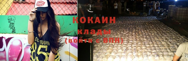 spice Богородск