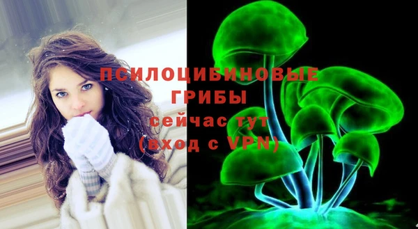 spice Богородск